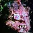 Curse of Bigfoot (1978)
