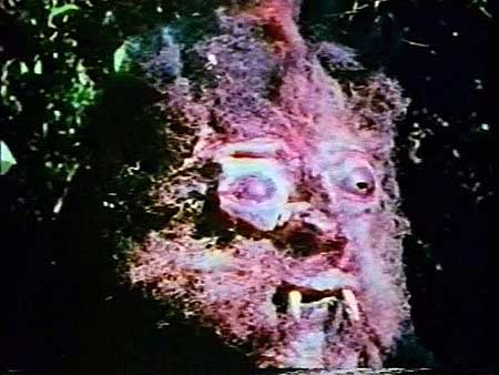 Curse of Bigfoot (1978)