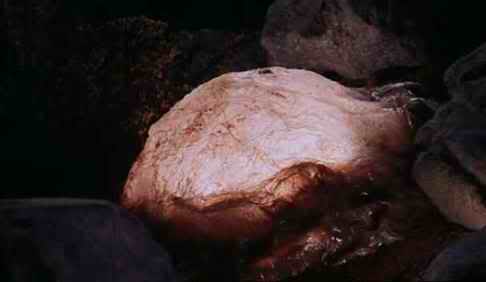 Monster of the Day #29