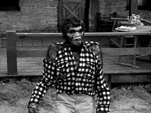 Monster of the Day #95