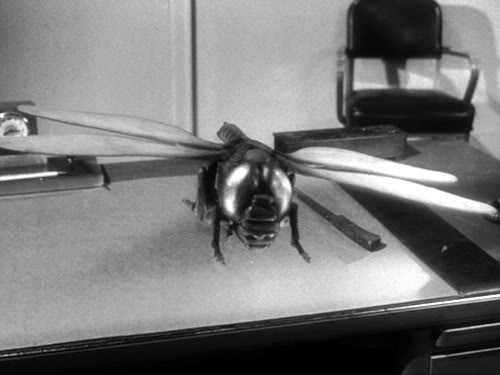 Monster of the Day #96