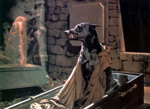 Monster of the Day #152