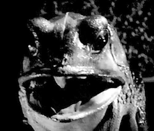 Monster of the Day #194