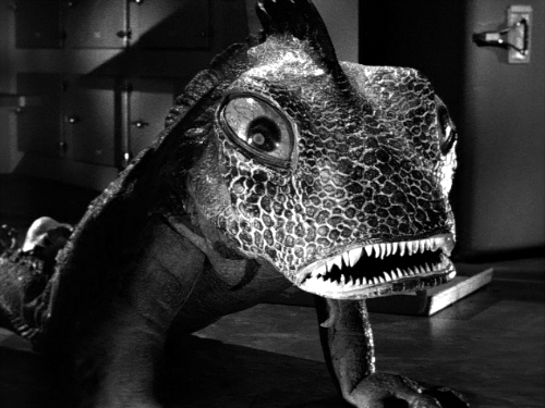 Monster of the Day #192