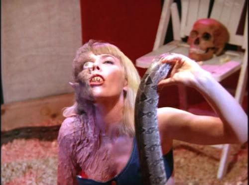 Monster of the Day #196