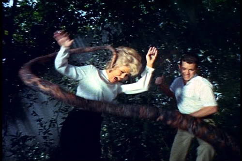 Monster of the Day #232