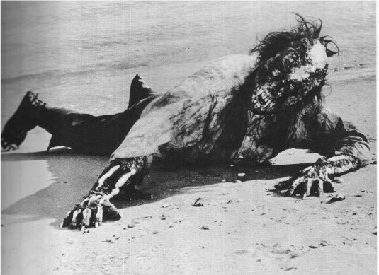 Monster of the Day #235