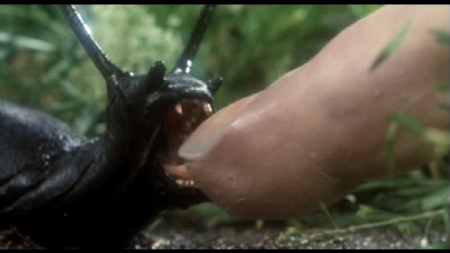 Monster of the Day #241