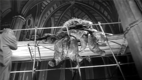 Monster of the Day #246