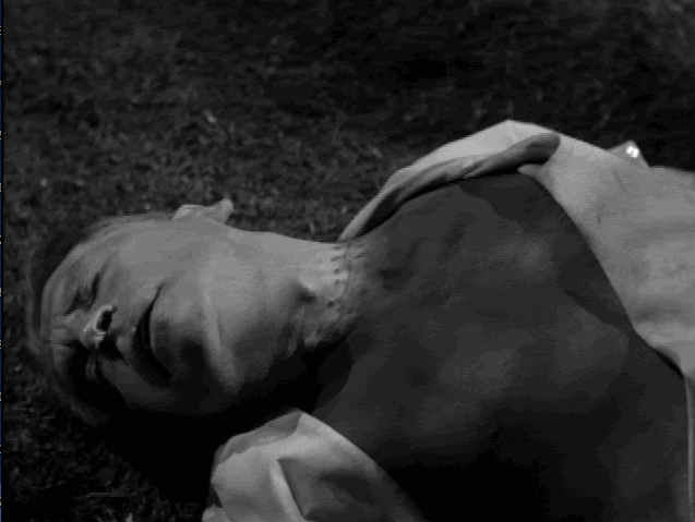 Monster of the Day #298