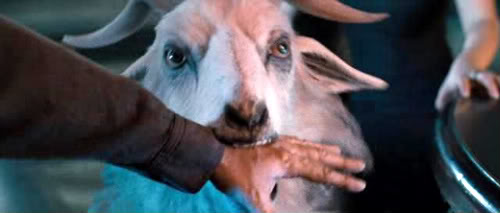 Monster of the Day #307