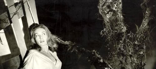 Monster of the Day #303