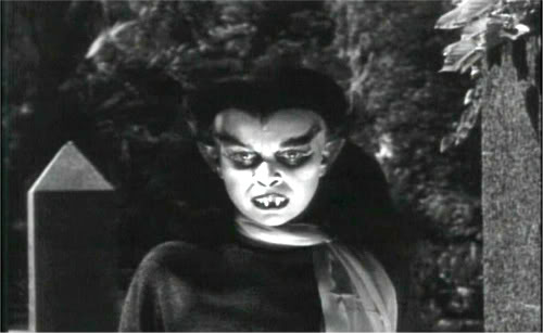 Monster of the Day #315