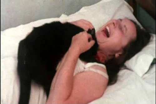 Monster of the Day #332