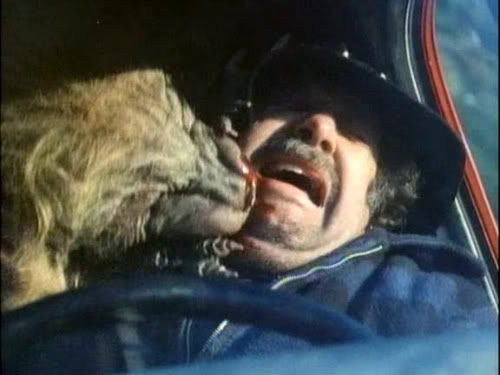 Monster of the Day #333