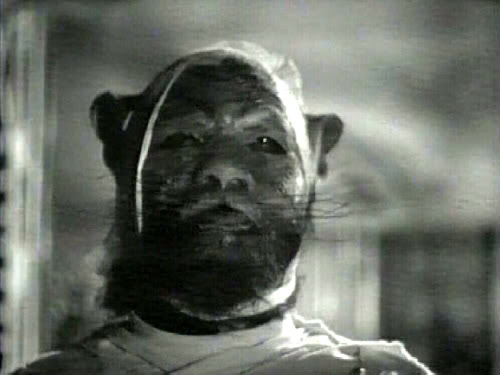 Monster of the Day #334