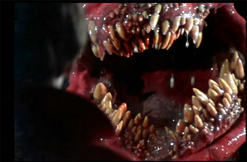 Monster of the Day #343