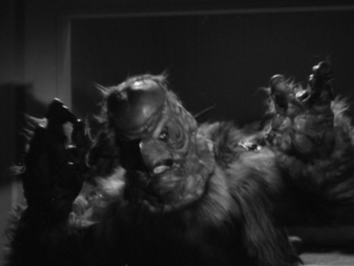 Monster of the Day #352