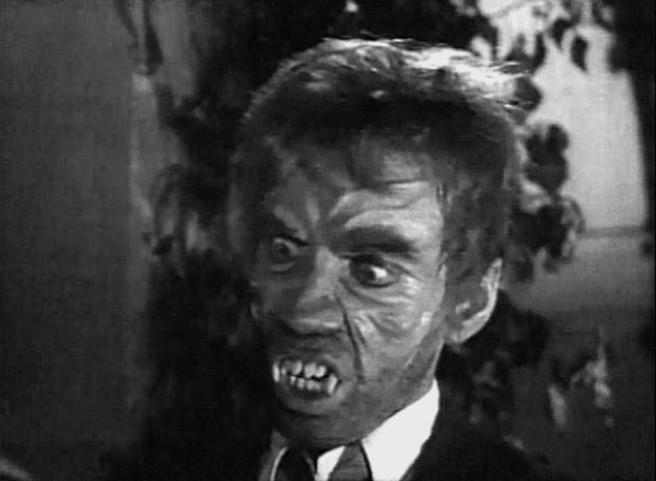 Monster of the Day #428