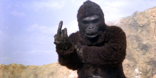 Monster of the Day #452