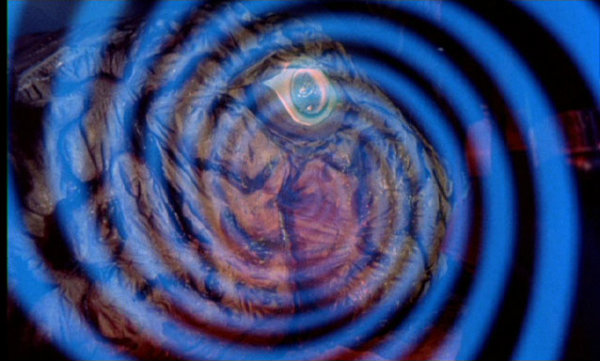 Monster of the Day #460