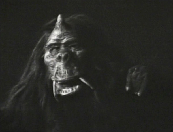 Monster of the Day #504