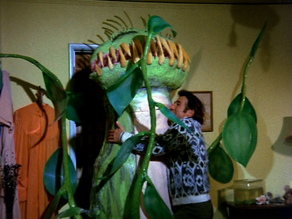 Monster of the Day #495