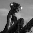 Rock Baker’s Video Cheese: The Deadly Mantis (1957)