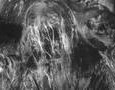 Monster of the Day #580 Ugh, Cousin Itt needs to get out of that hippie phase and start shampooing again. Related PostsMonster of the Day #689 (May 14, 2013) Monster of the Day #688 (May 13, 2013) Monster of the Day #687 (May 10, 2013)...