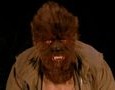 We close out ’70s Wolfmen Week with this oddity (which, unlike yesterday’s subject, is available on DVD). Genre-crossing films were a lot rarer back then, although this film is a lot like Robert Quarry’s Deathmaster, made during the same period...