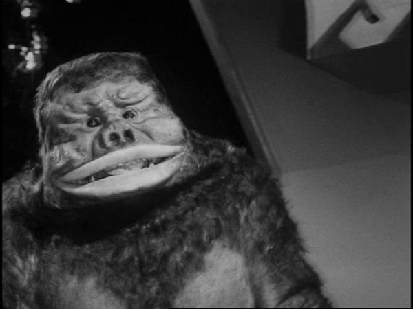 Monster of the Day #1018