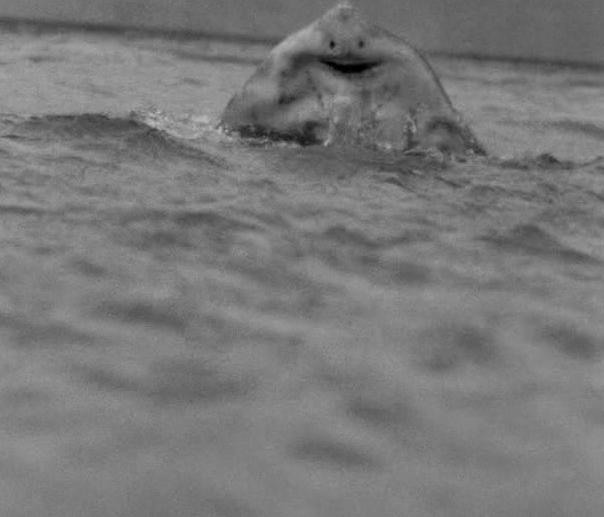 Monster of the Day #1283