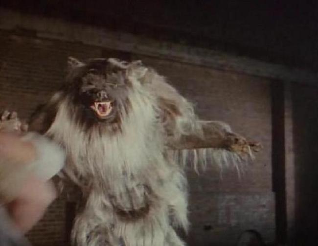 Monster of the Day #1443