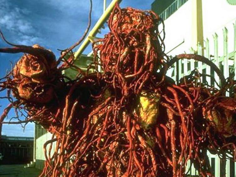 Monster of the Day #1595