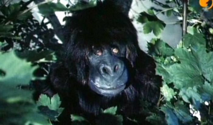 Monster of the Day #1730