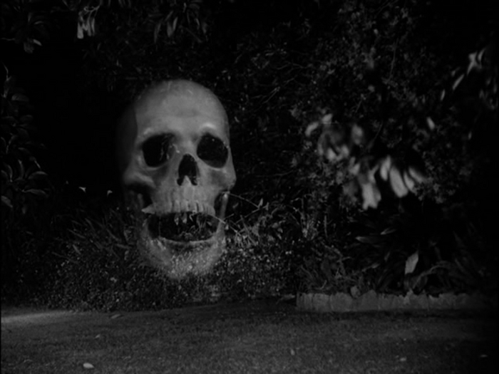 Monster of the Day #3006