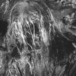 Monster of the Day #3035