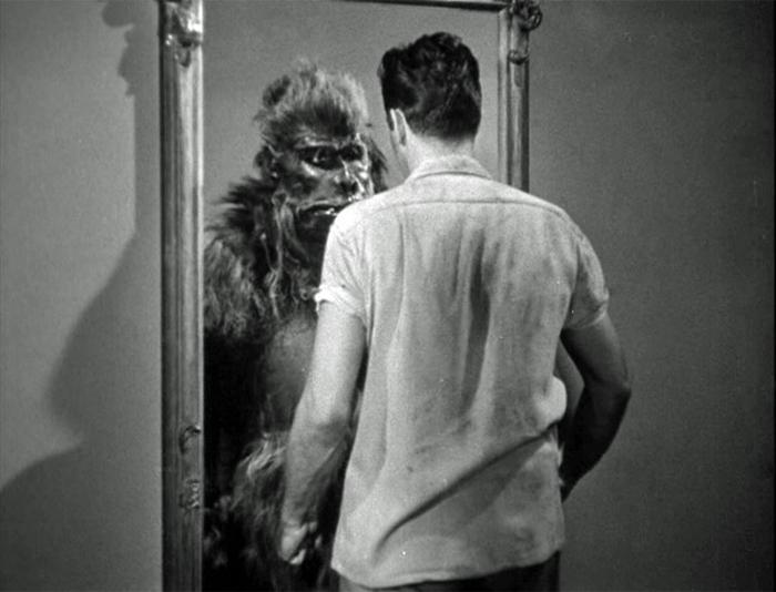 Monster of the Day #3028