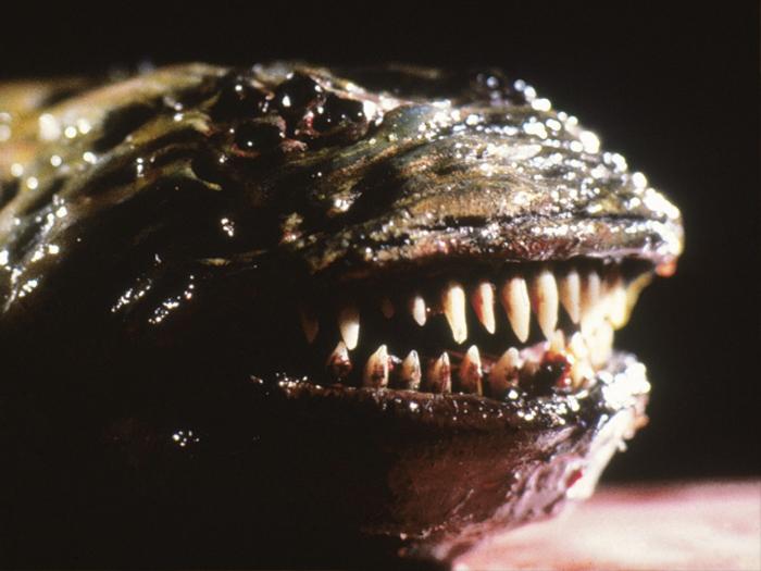 Monster of the Day #3059