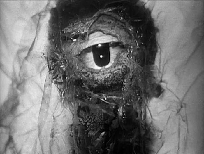 Monster of the Day #3088