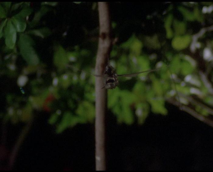 Monster of the Day #3152