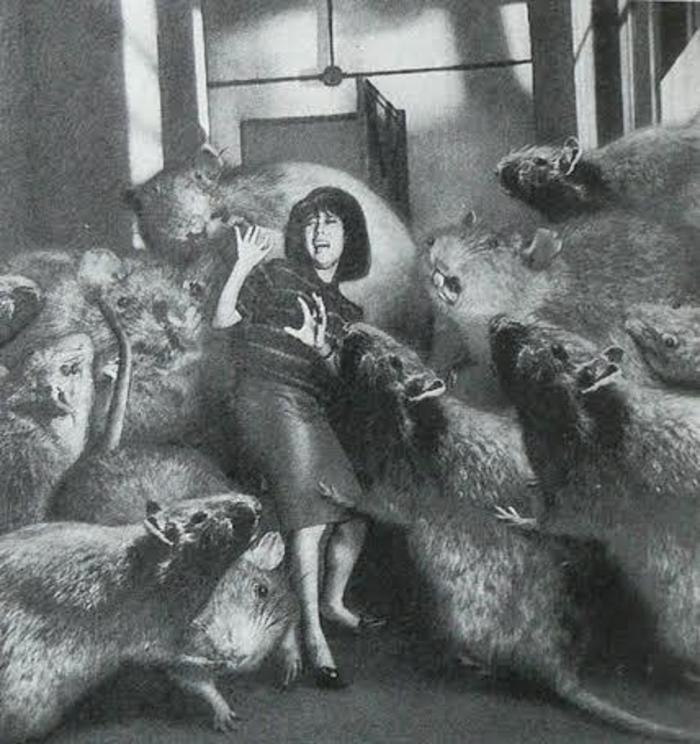 Monster of the Day #3138