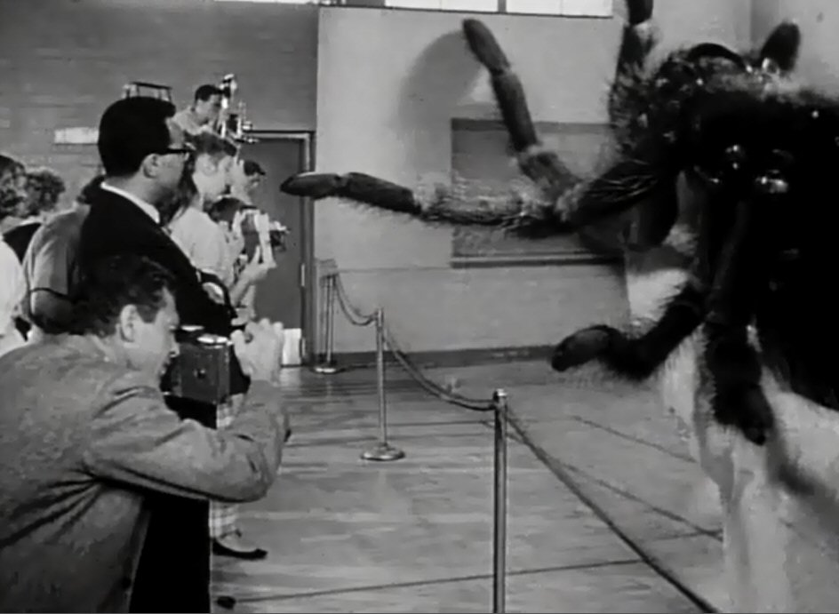 Monster of the Day #3233