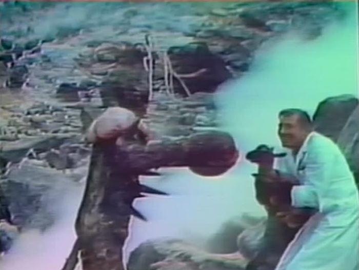 Monster of the Day #3237