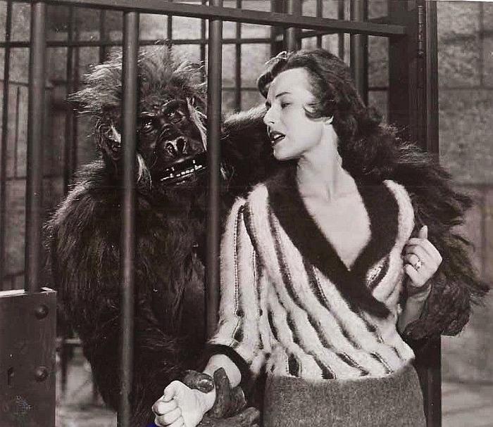 Monster of the Day #3335