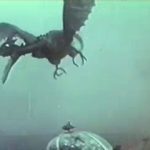 Monster of the Day #3333