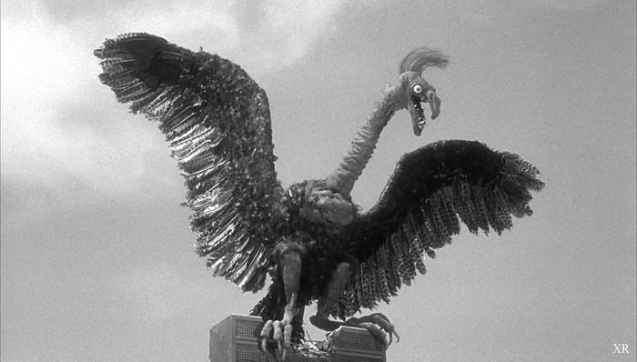 Monster of the Day #3358