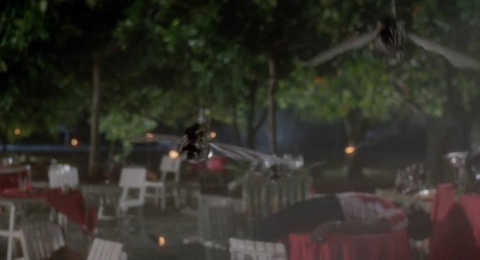 Monster of the Day #3367