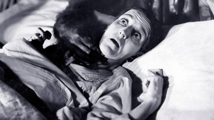 Monster of the Day #3236