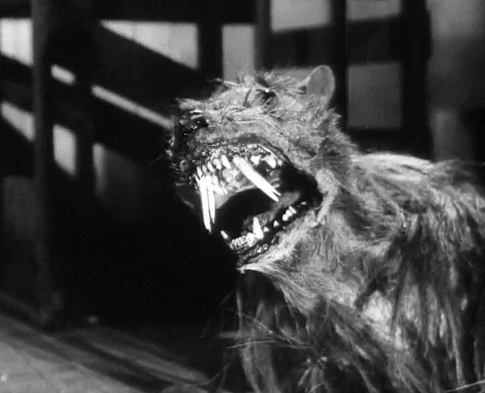 Monster of the Day #3243